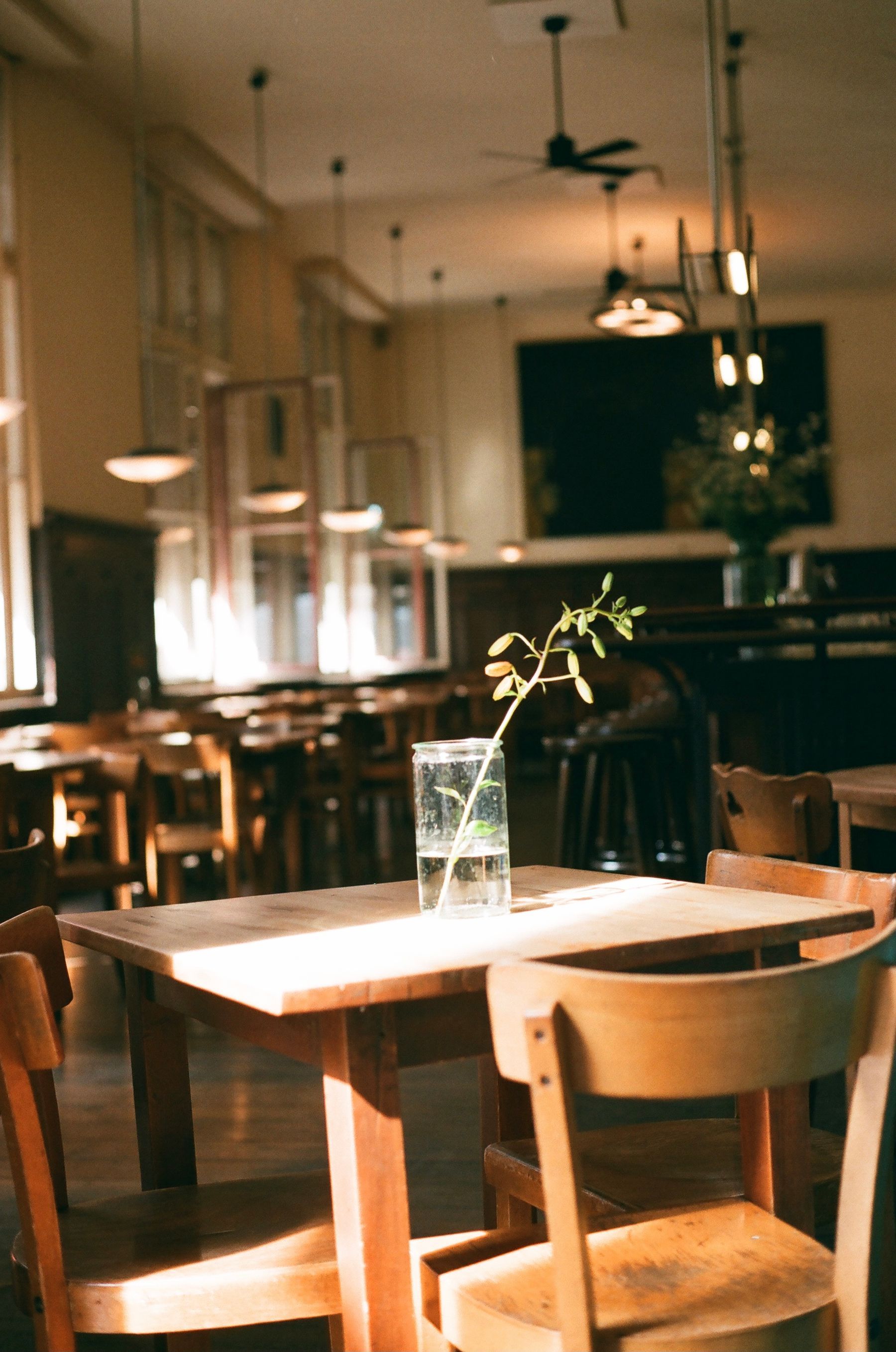Comedor cálido con plantas y mesas de madera